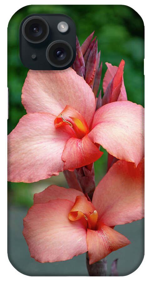 Canna Lily iPhone Case featuring the photograph Canna Lily Flowers by Lisa Blake