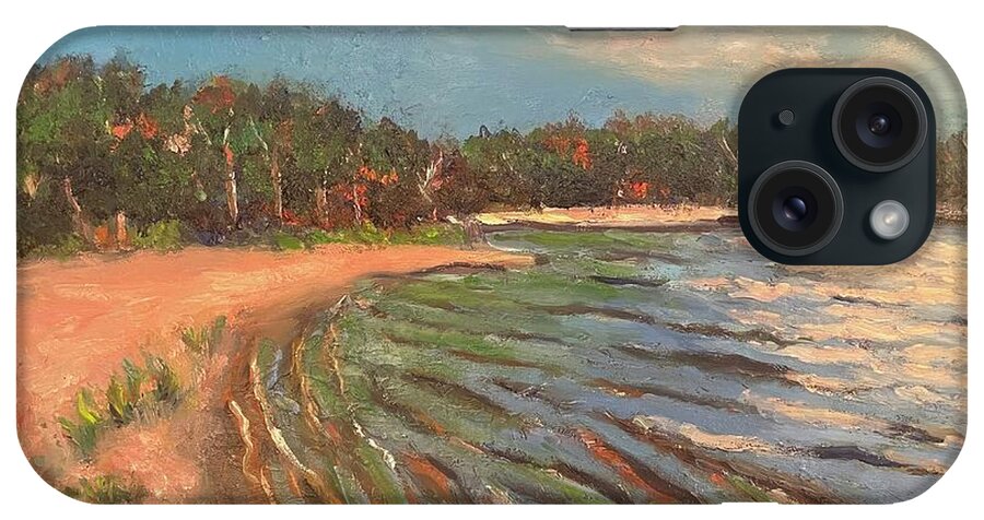 Caoe Cod Knickerson State Park Pond iPhone Case featuring the painting Cape Cod Pond by Beth Riso
