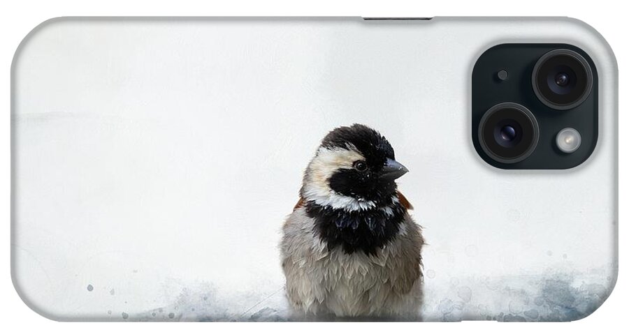 Cape Sparrow iPhone Case featuring the mixed media Cape Sparrow Male Bathing by Eva Lechner