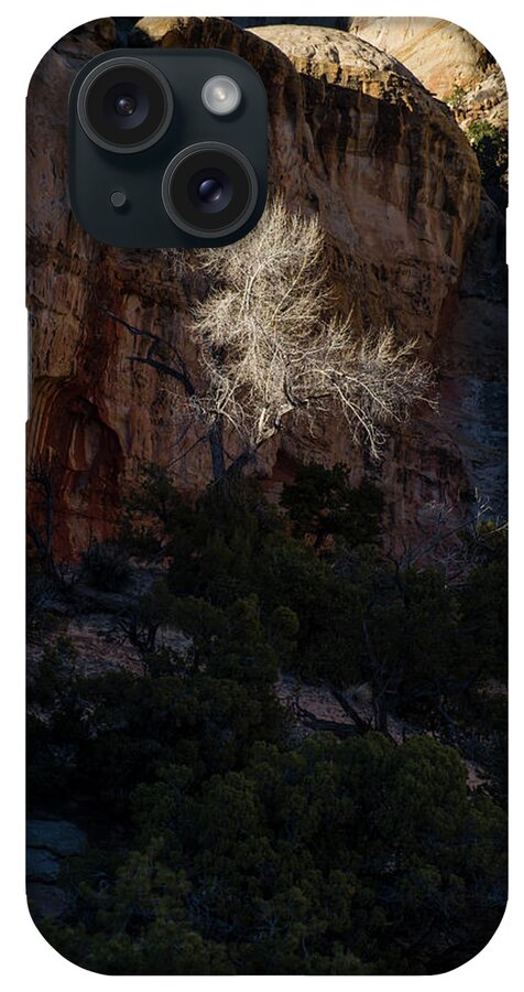 Young iPhone Case featuring the photograph Capitol Reef National Park by David L Moore