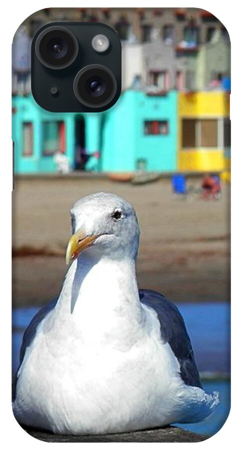 Capitola iPhone Case featuring the photograph Capitola And The Seagull by Claudia Zahnd-Prezioso