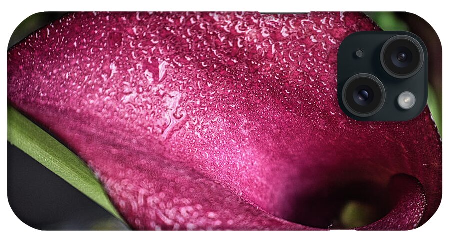 Flower iPhone Case featuring the photograph Captivating Calla Lily by Portia Olaughlin