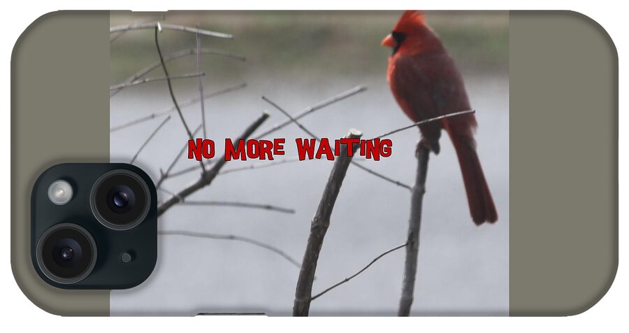 Cardinal iPhone Case featuring the photograph Cardinal Bird Waiting by Catherine Wilson