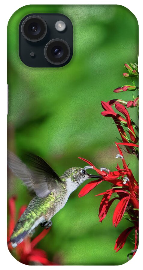 Nature iPhone Case featuring the photograph Cardinal Flower or Cardinal Lobelia DFL1087 by Gerry Gantt
