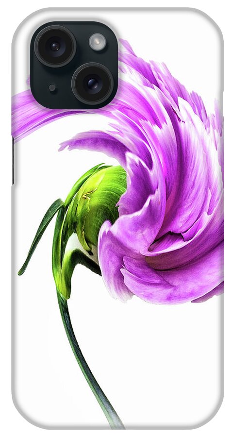 Carnation iPhone Case featuring the photograph Carnation Curtsy by Bill and Linda Tiepelman