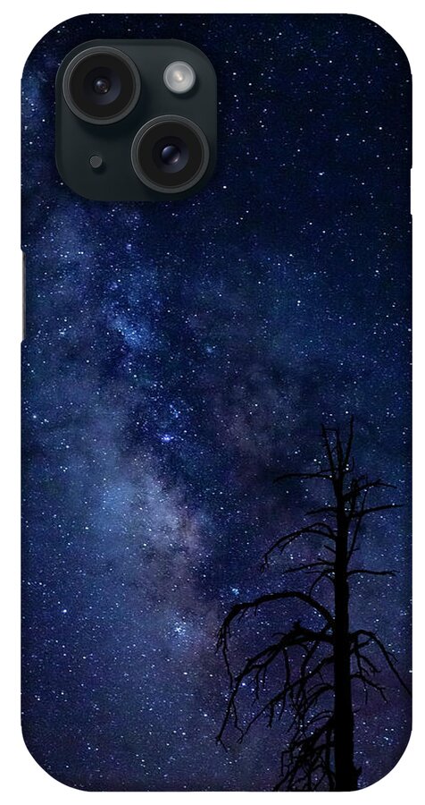 Carson National Forest iPhone Case featuring the photograph Carson National Forest by Maresa Pryor-Luzier