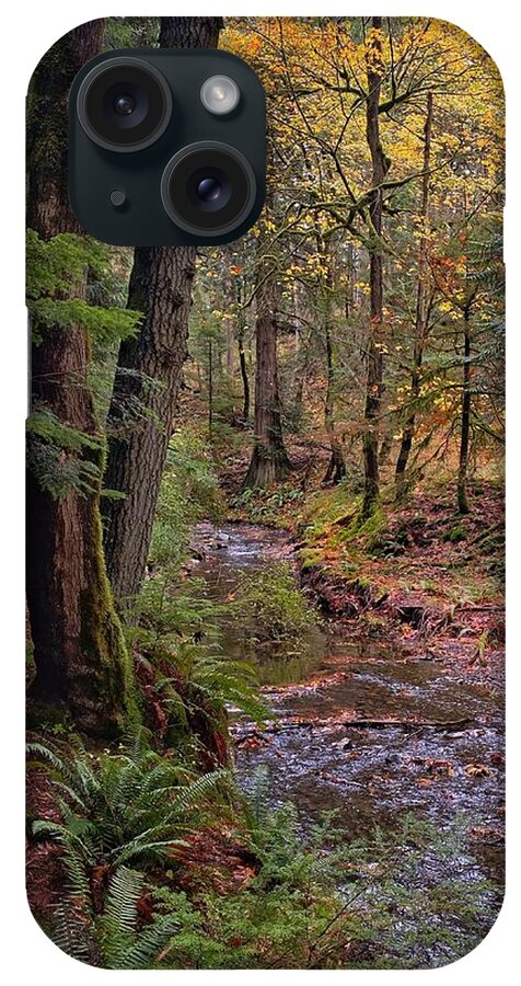 Autumn iPhone Case featuring the photograph Cascade Creek Trail by Jerry Abbott
