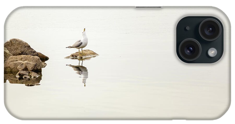 Larus Delawarensis iPhone Case featuring the photograph Castaway by SAURAVphoto Online Store