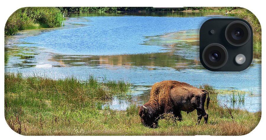 Catalina iPhone Case featuring the photograph Catalina Bison by Eddie Yerkish