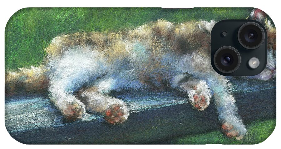 Catnap iPhone Case featuring the painting Catnap in the sunshine by Karen Kaspar