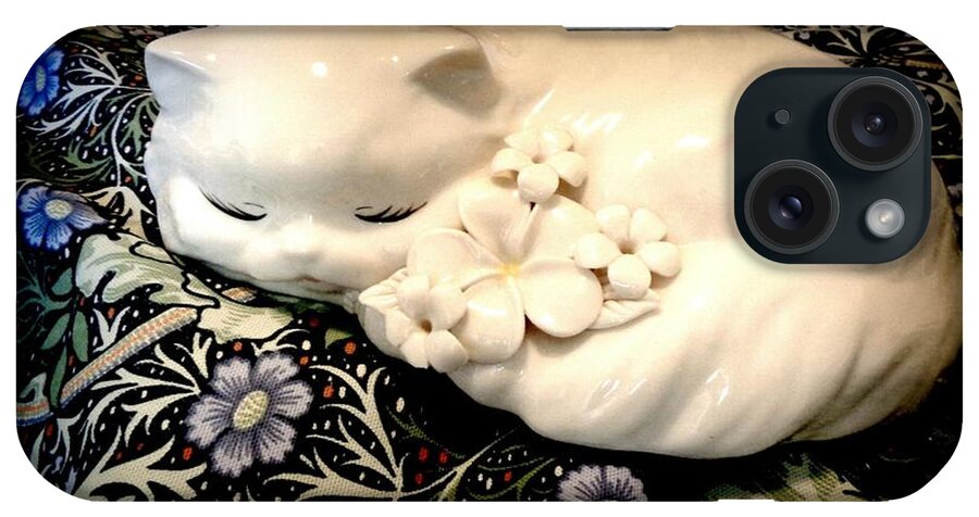 Cat iPhone Case featuring the photograph Caught Napping by VIVA Anderson