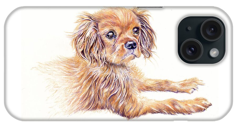 Dog iPhone Case featuring the painting Cavalier King Charles Dog by Debra Hall