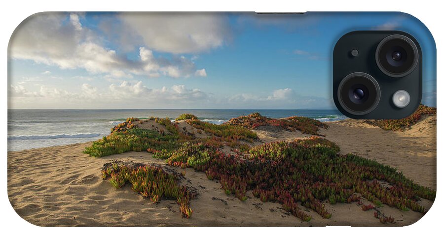 Sand Dunes iPhone Case featuring the photograph Central Coast Sand Dunes by Matthew DeGrushe
