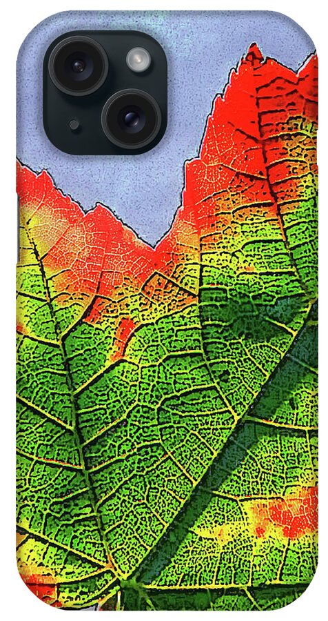 Fall iPhone Case featuring the photograph Change by Randall Dill