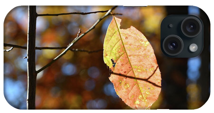 Leaf iPhone Case featuring the photograph Changing Colors of Autumn 3 by Phil Perkins