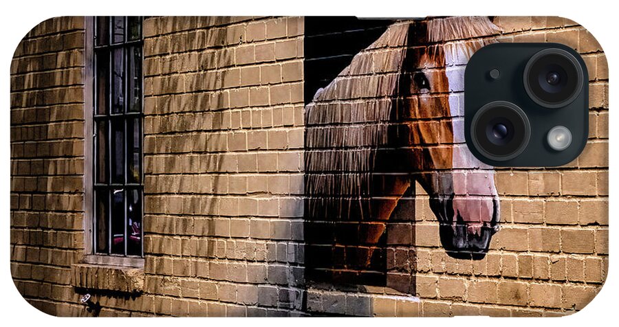 Marietta Georgia iPhone Case featuring the photograph Charleston Horse Mural by Tom Singleton