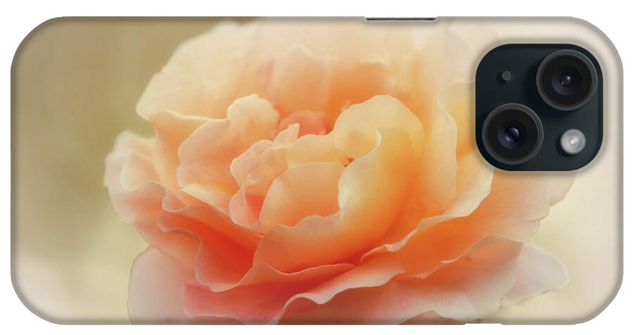 Flowers iPhone Case featuring the photograph Apricot Rose by Elaine Teague