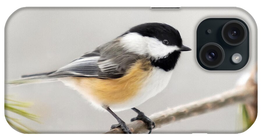 Chickadee iPhone Case featuring the mixed media Chickadee Painting by Christina Rollo