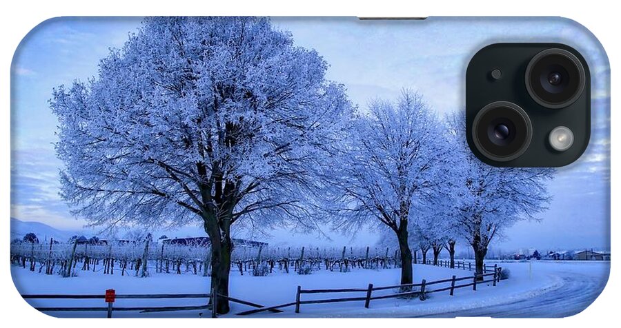 Chilly Winter Morning iPhone Case featuring the photograph Chilly winter morning by Lynn Hopwood