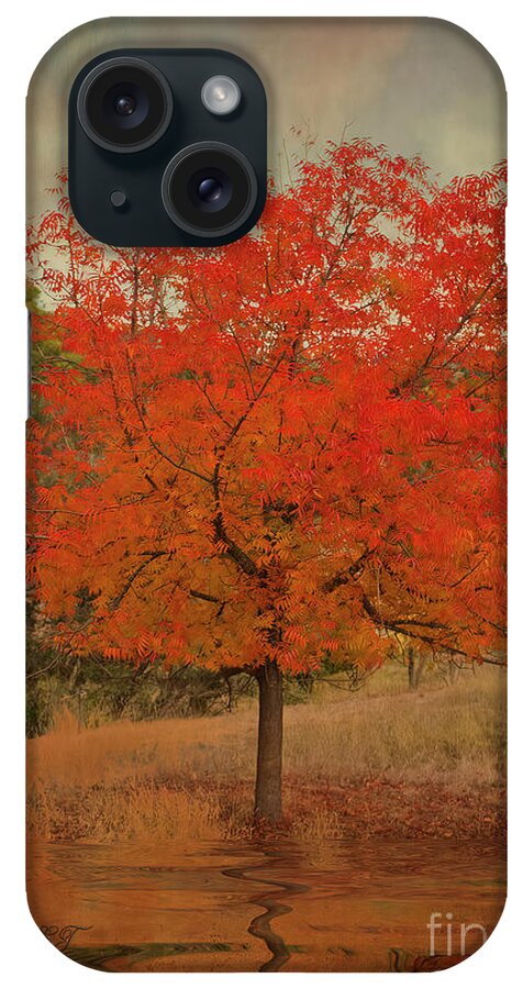 Tree iPhone Case featuring the photograph Chinese Pistachio Reflection by Elaine Teague