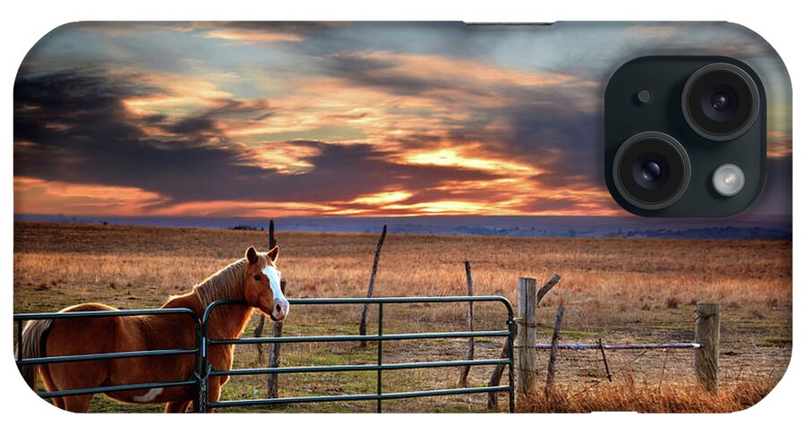 Horse iPhone Case featuring the photograph Christmas Sunset by Rod Seel