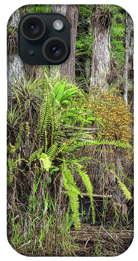 Big Cypress National Preserve iPhone Case featuring the photograph Cigar Orchid Side Profile by Rudy Wilms