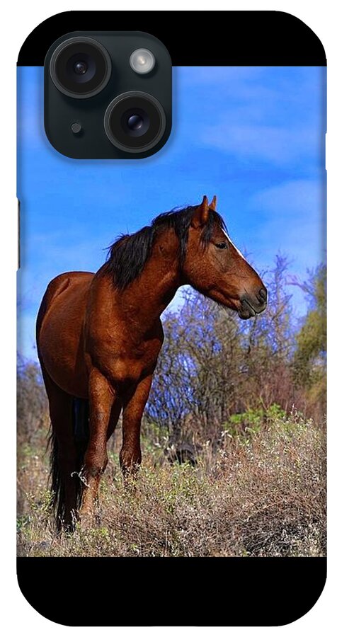 Salt River Wild Horse iPhone Case featuring the digital art Chillin by Tammy Keyes