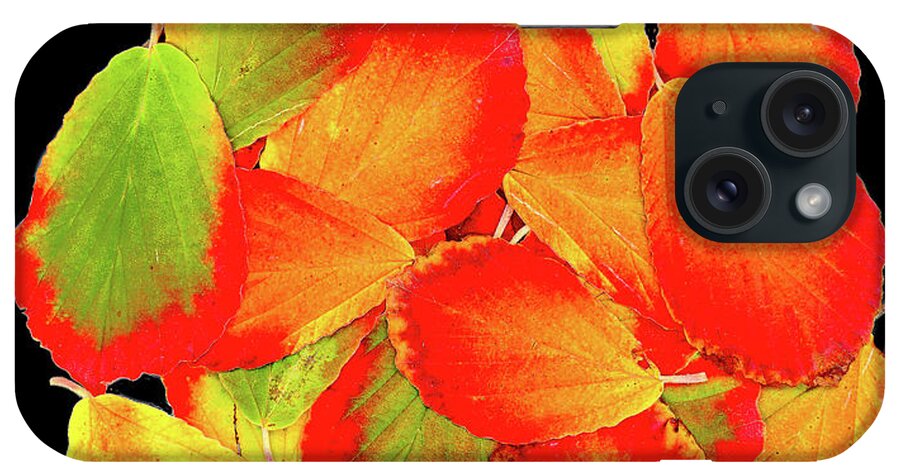 Autumn Colour iPhone Case featuring the photograph Circle by Marilyn Cornwell