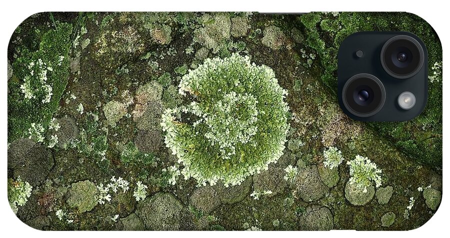 Rock iPhone Case featuring the photograph Rocks For Lichen by Alida M Haslett