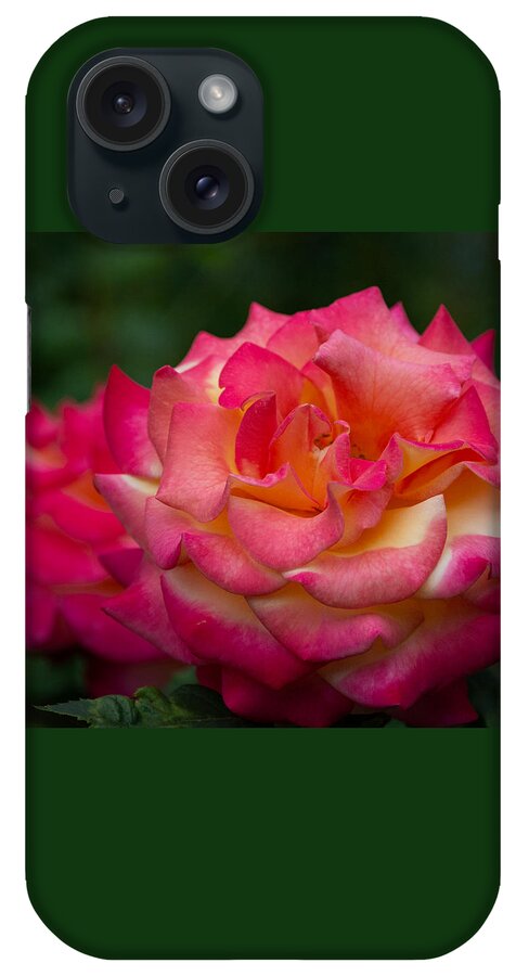 Rose iPhone Case featuring the photograph Classic Beauty with a Twist by Linda Bonaccorsi