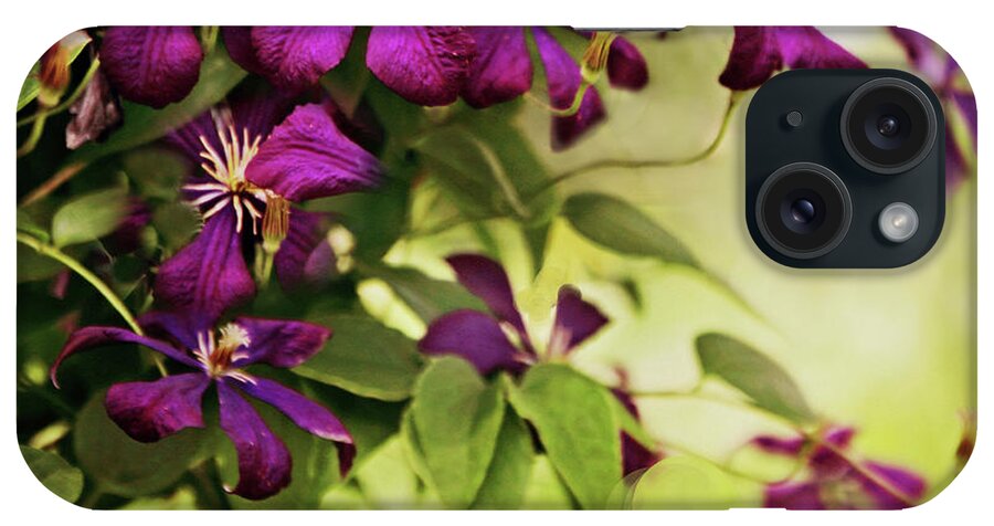 Clematis iPhone Case featuring the photograph Clematis on the Vine by Jessica Jenney