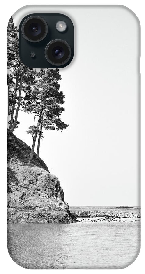 Front View iPhone Case featuring the photograph Cliff trees ocean by Mike Fusaro