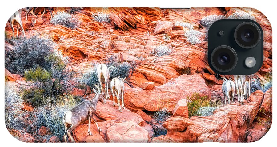Valley Of Fire iPhone Case featuring the photograph Climbing Desert Bighorn Sheep Nevada by Tatiana Travelways