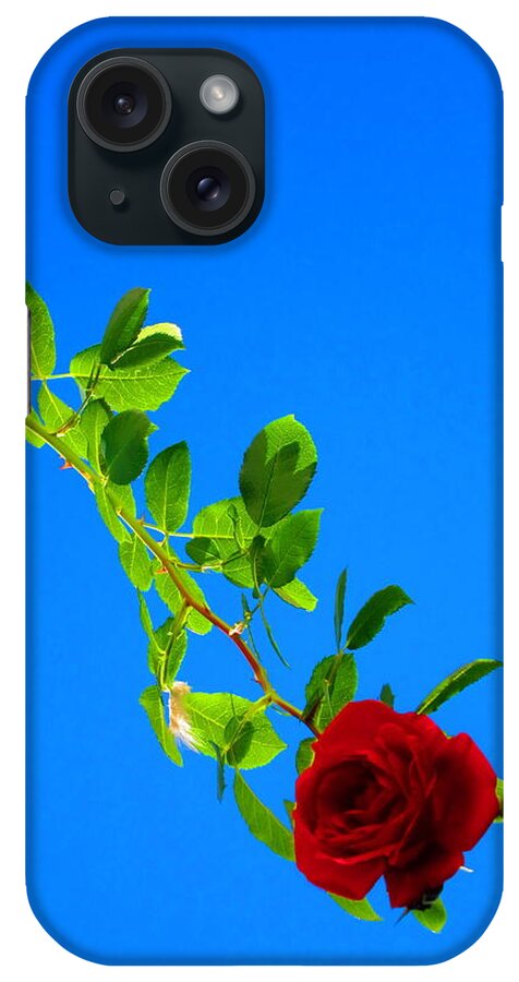 Rose iPhone Case featuring the photograph Climbing Rose by Andreas Thust