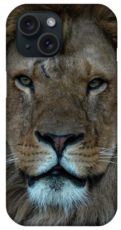 Close-up iPhone Case featuring the photograph Close-up Lion by Marjolein Van Middelkoop