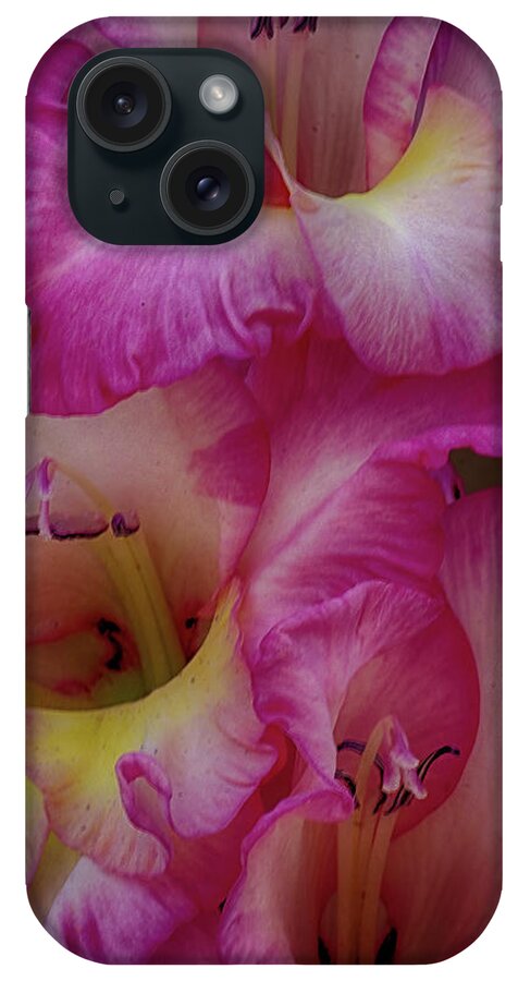 Blooming iPhone Case featuring the photograph Close-up of Pink Iris Flowers by Charles Floyd
