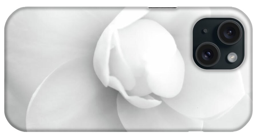 Camellia iPhone Case featuring the photograph Closeup Camellia by D Hackett