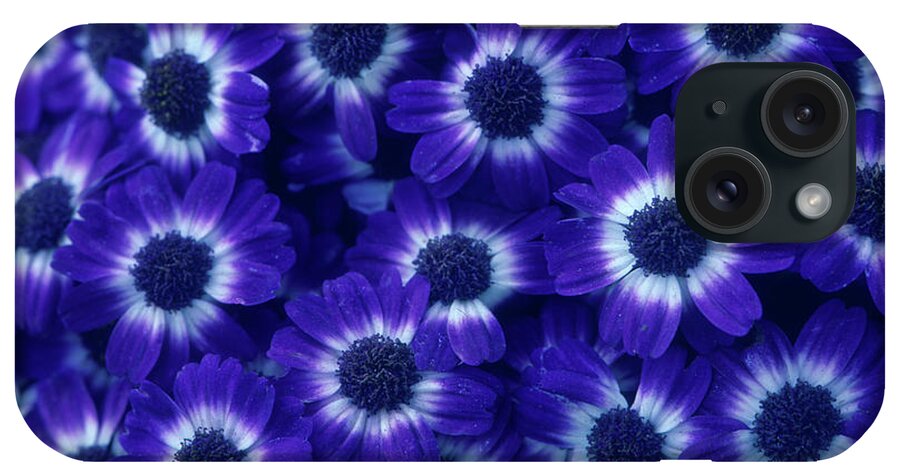 Flowers iPhone Case featuring the photograph Cluster of Purple Flowers  by Harold E McCray