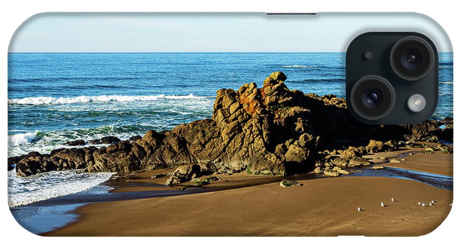 Landscape iPhone Case featuring the photograph Coast Of Oregon-1 by Claude Dalley