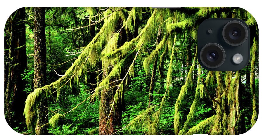 Forest iPhone Case featuring the photograph Coastal Rain Forest in Alaska by Joe Ng