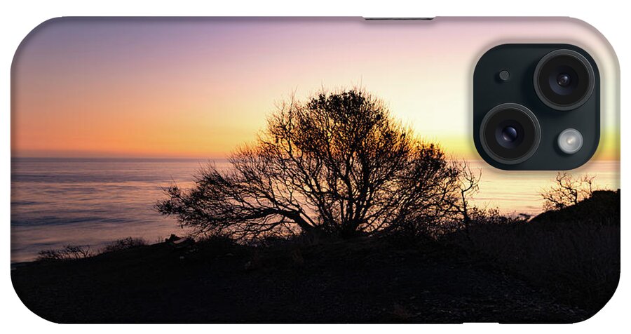 California iPhone Case featuring the photograph Coastal Tree After Sunset by Matthew DeGrushe