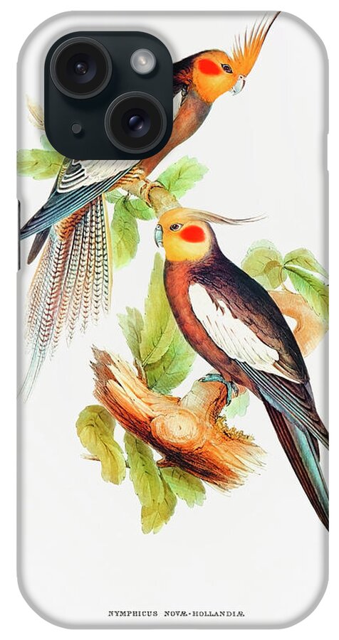 Elizabeth Gould iPhone Case featuring the drawing Cockatoo Parakeet by Elizabeth Gould