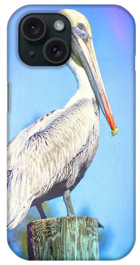 Pelican iPhone Case featuring the photograph Colorfulcan by Alison Belsan Horton