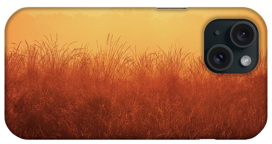 National iPhone Case featuring the photograph Colors of Maasduinen 5 by Jaroslav Buna