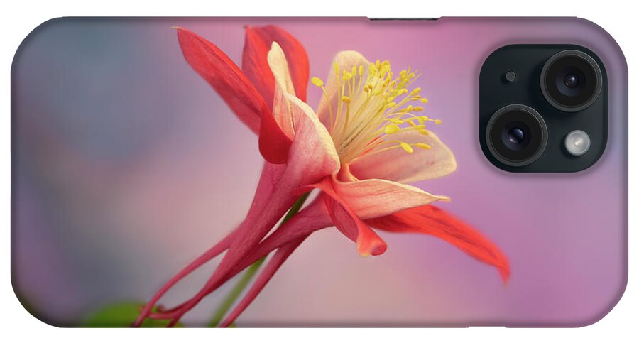 Columbine iPhone Case featuring the photograph Columbine Looking Up by Mary Jo Allen