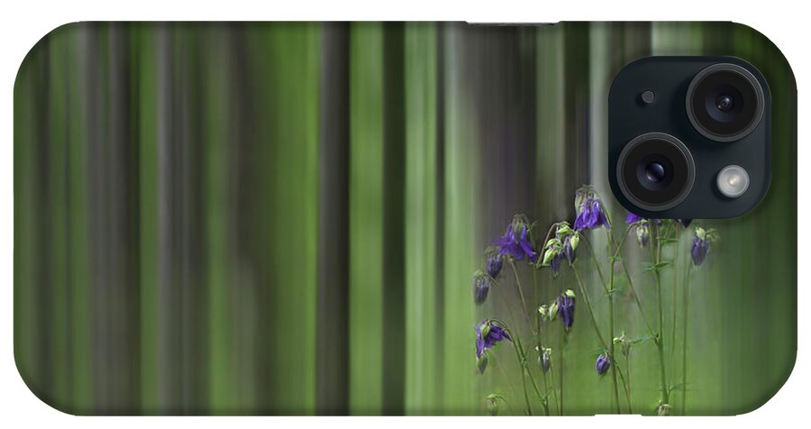 Green iPhone Case featuring the photograph Columbine Spring by Wayne King
