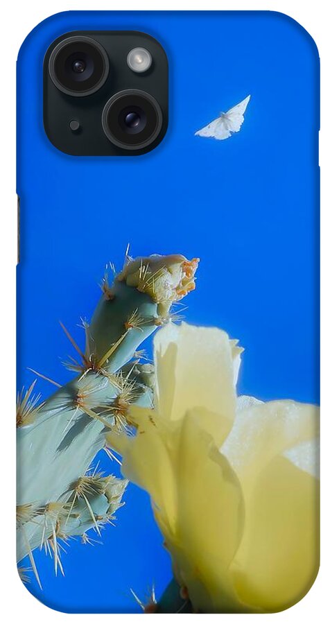 Prickly Pears iPhone Case featuring the photograph Come Back by Judy Kennedy