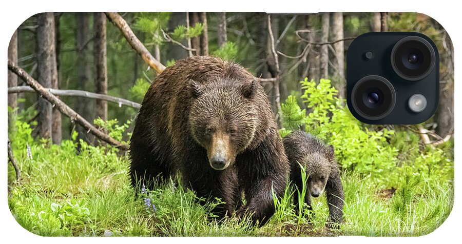 Grizzly iPhone Case featuring the photograph Coming Through - Grizzly 399 and One of Her Cubs by Belinda Greb