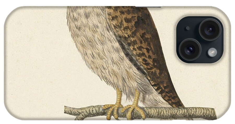 Anonymous iPhone Case featuring the drawing Common buzzard by Anonymous