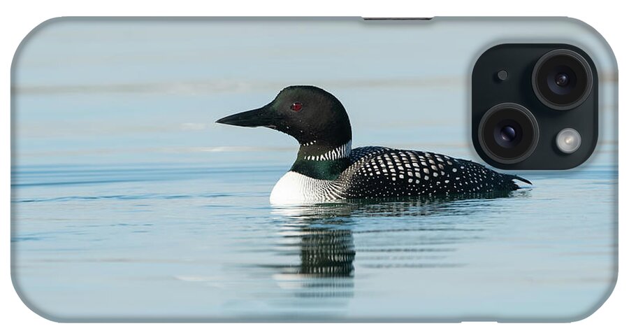 Common Loon iPhone Case featuring the photograph Common Loon by CR Courson
